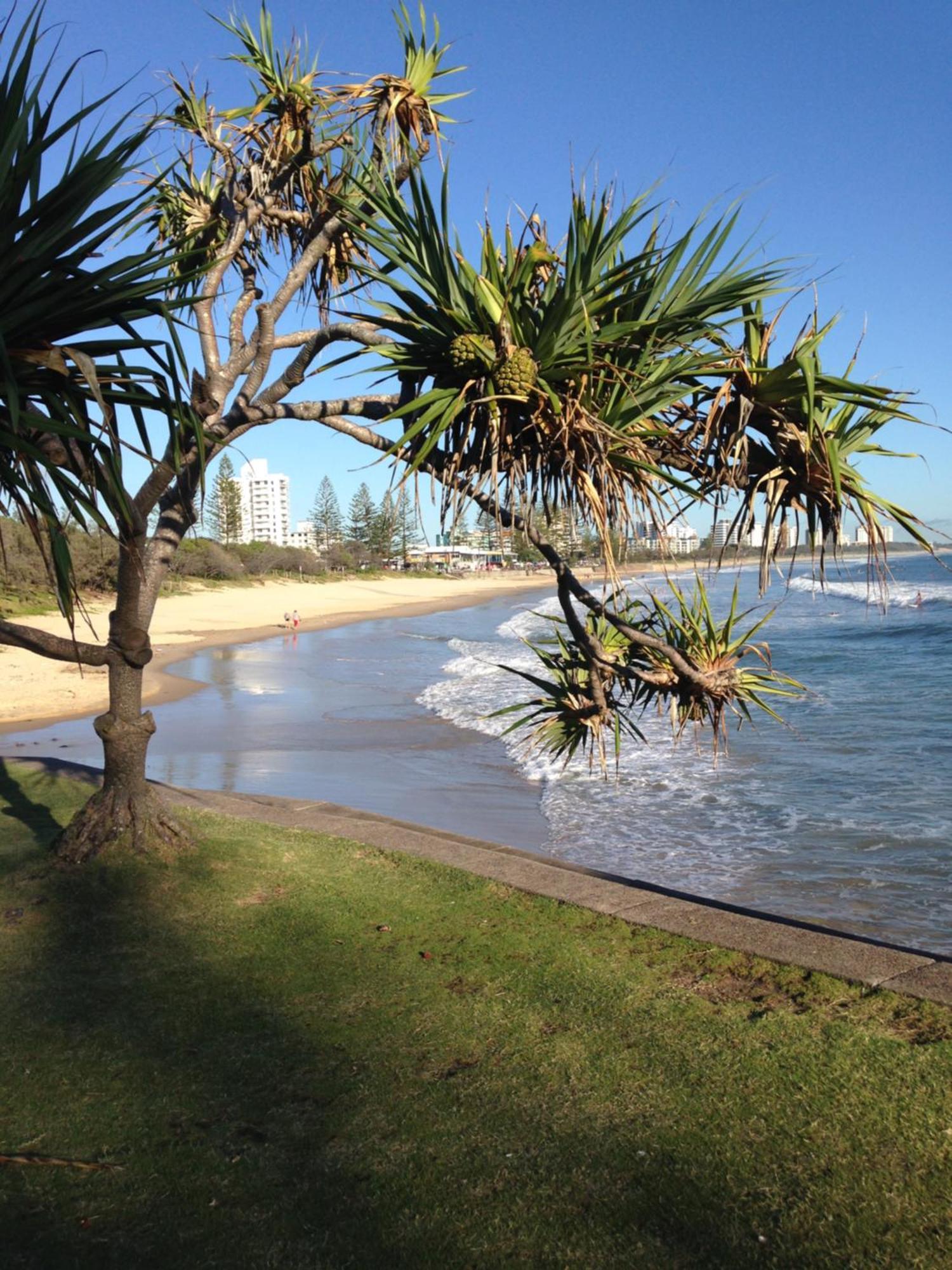 Grand Palais Boolarong Beachside Apartments Alexandra Headland Kültér fotó